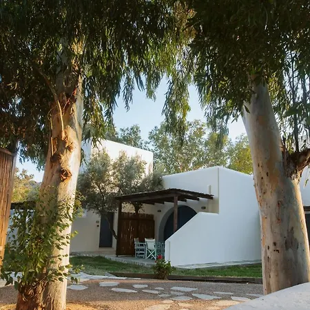 Far Out Village 3*
