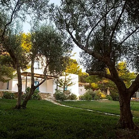 Hotel Far Out Village