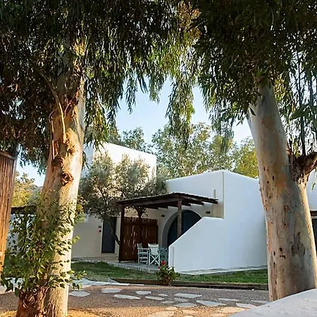 Hotel Far Out Village
